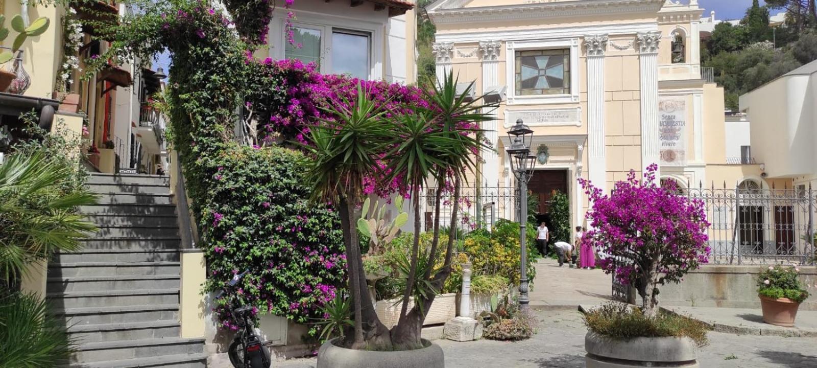 La Casa Rosa Di Giulia Villa Ischia Dış mekan fotoğraf